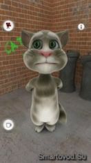   : Talking Tom Cat    