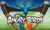   : Angry Birds Rio