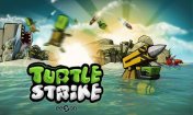   :   (TurtleStrike)