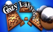   :   (Crazy Labyrinth 3D)