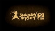   :   2 (Shadow fight 2)