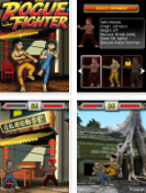 �������� � �����: Rogue Fighter