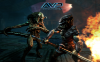   : AVP: Evolution