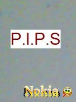   :  P.I.P.S. - v1.5.6  StdioServer.