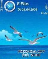 Seagulls