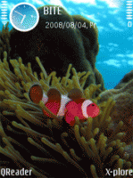 Coral reef by Alfa