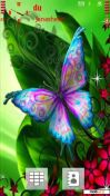   : butterfly