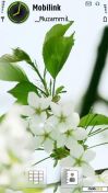   : White Flowers